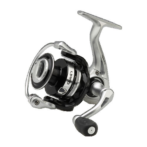 DAM Quick 1 2000 FD