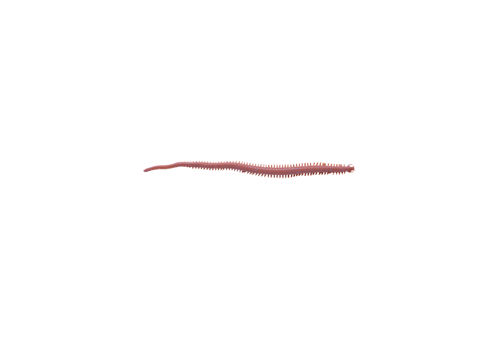 Berkley Gulp! Alive! HLFP Børstemark 6"" B