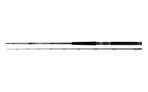 Daiwa Saltiga Braid Special 7,6` 15-25lb