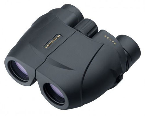 Leupold BX-1 Rogue 8x25mm Compact Porro Black
