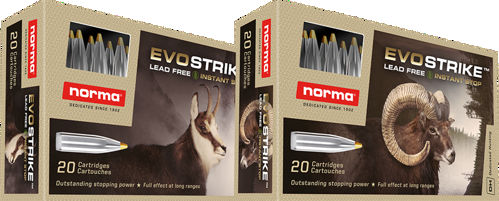 Norma Evostrike 270 WIN 6,2 g / 96 gr