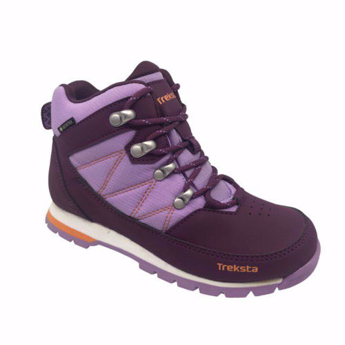 Treksta Trysil GTX Kids Purple 37