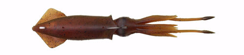 Savage Gear 3D TPE Swim Squid 95mm 10g Red
