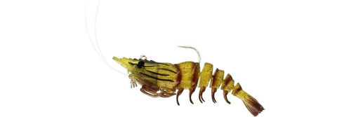 Westin Salty the Shrimp Jig 11cm 28g Natural Shrimp