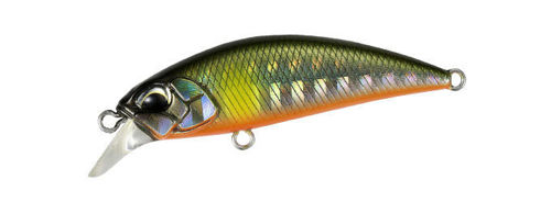 Spearhead Ryuki 50s Ayu OB
